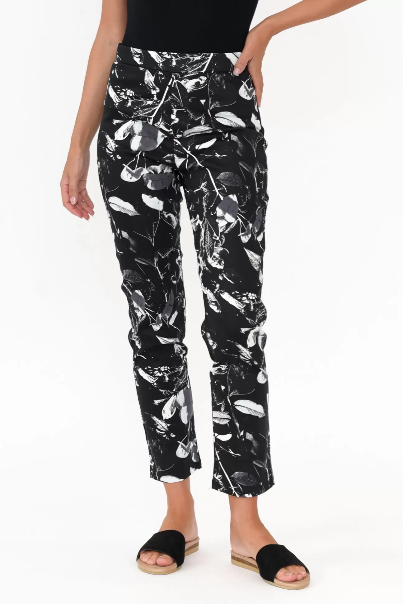 Whispers Milo Black Leaf Stretch Pant Flash Sale