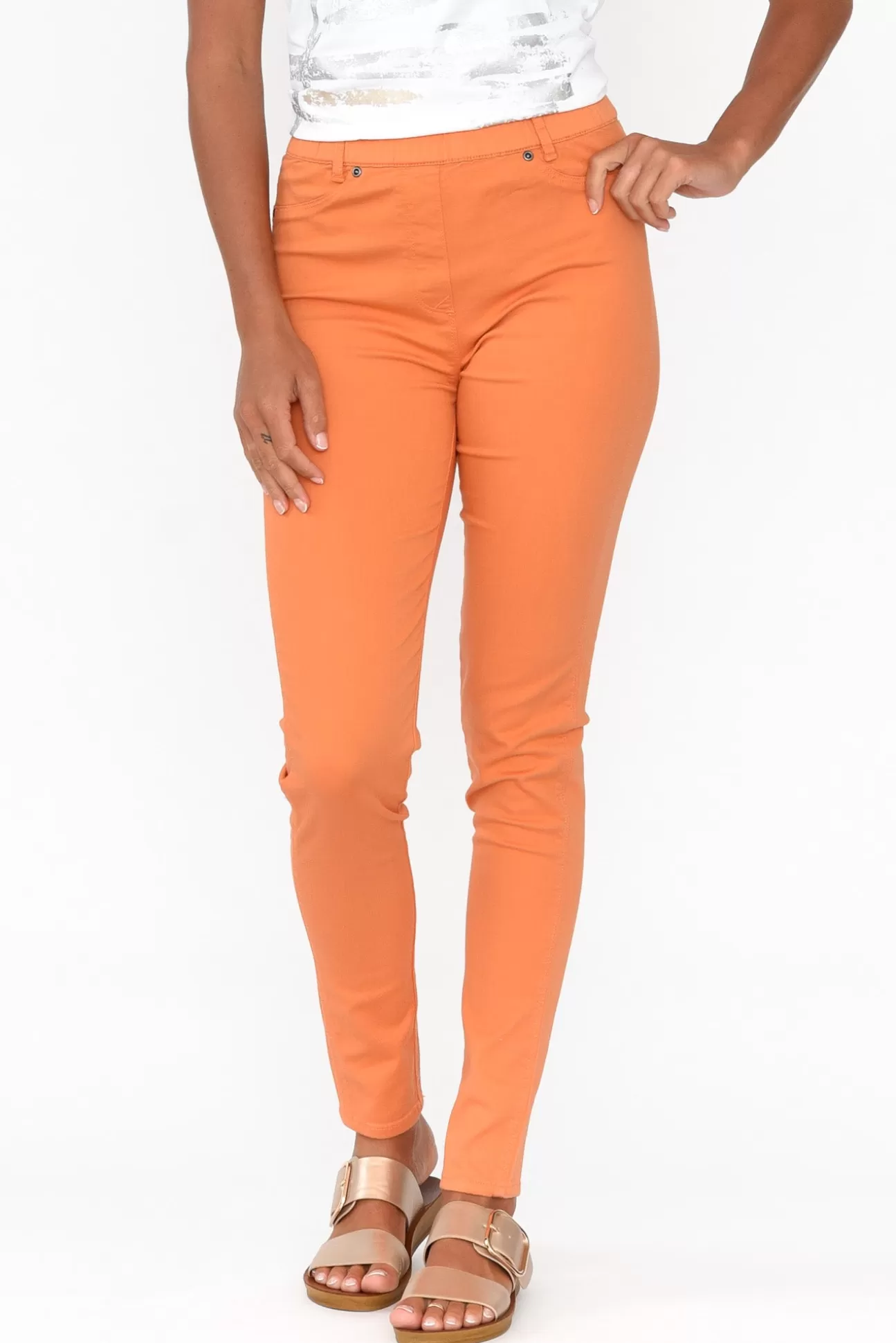 Cafe Latte Reed Orange Stretch Cotton Pant Fashion